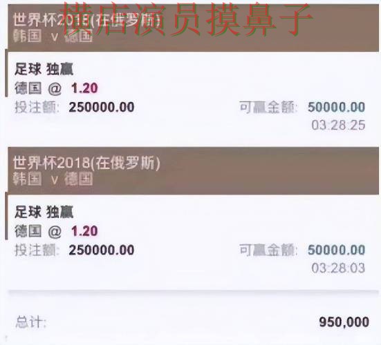 世界杯数据来临，世界杯投注平台推荐用户反馈与平台选择盘点